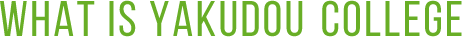 WHAT IS YAKUDOU COLLEGE